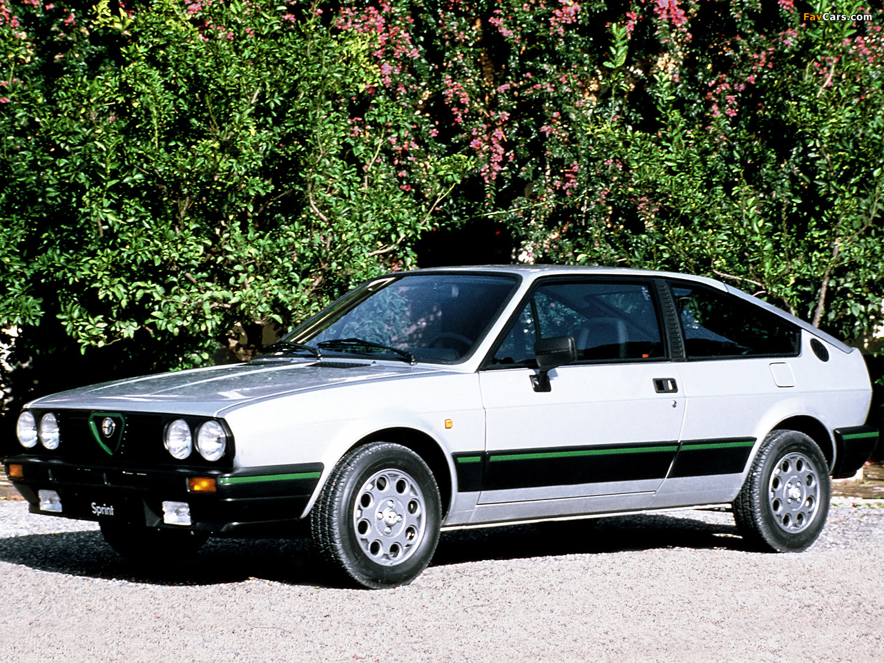2015 - [Alfa Romeo] Giulia [Tipo 952] - Page 41 Alfa_Romeo_Alfasud_Sprint_Quadrifoglio_Verde_1983_1987-70973